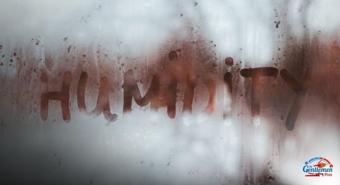 Calgary Homeowners: Adjust Your Humidity